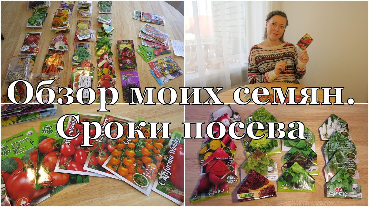 Сроки посева семян. Обзор моих семян // Dates of starting seeds. Review my seeds