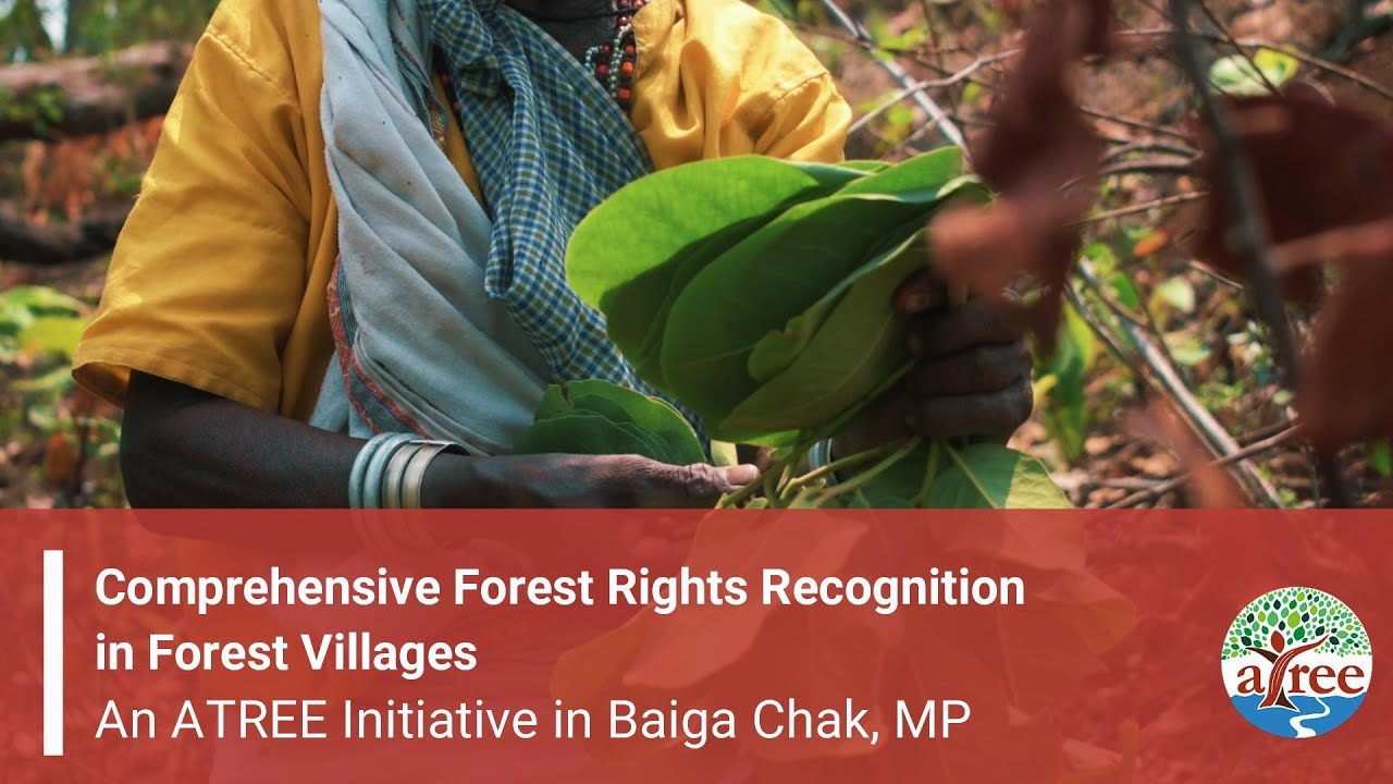 Comprehensive Forest Rights Recognition in ‘Forest Villages’: An ATREE Initiative in Baiga Chak, MP