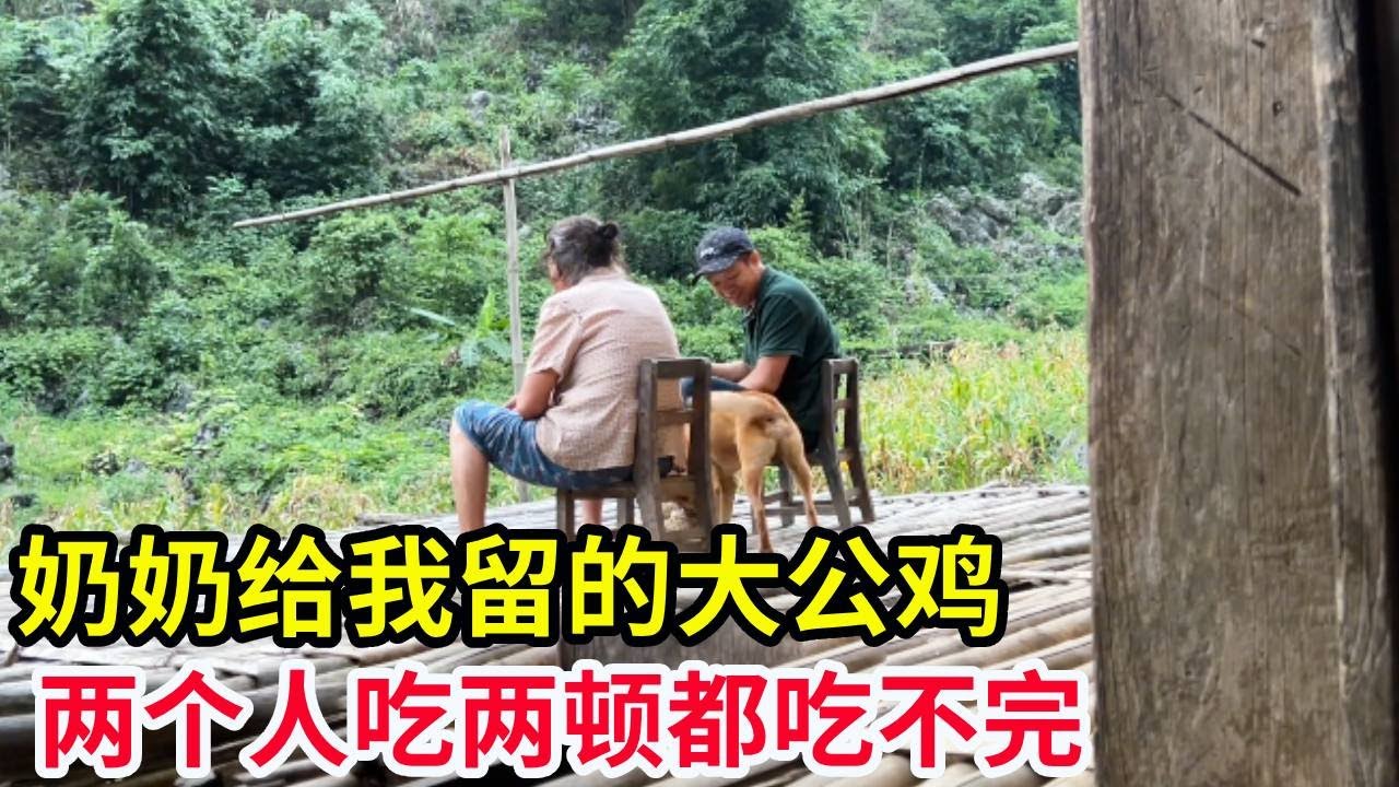 奶奶给我留的大公鸡，快一年没来鸡都老了，两个人吃两顿都吃不完！【山农乐哥】