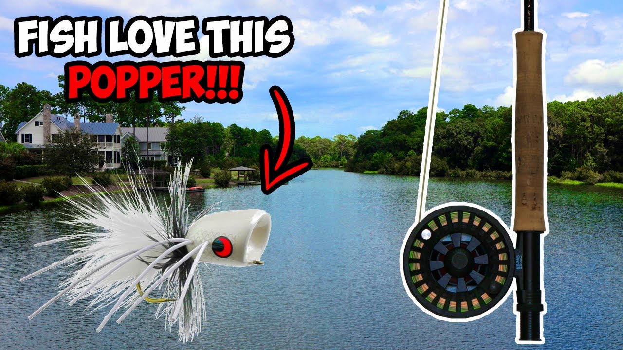 CRAZY Topwater Fly Fishing for BASS!!! | Fly Fishing for Bass with Poppers!