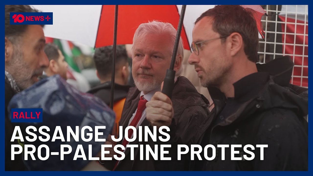 Historic Pro-Palestine Protest Takes Place On Sydney Harbour Bridge | 10 News+