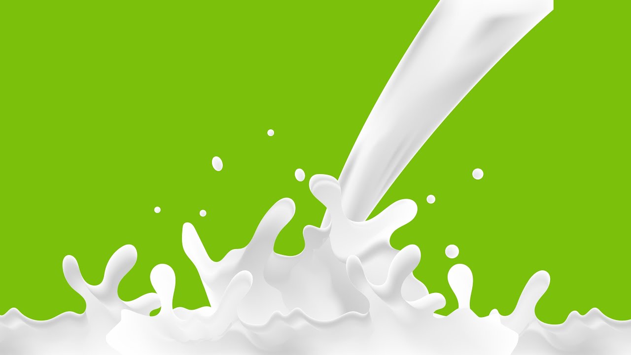 Milk Vector in Adobe Illustrator