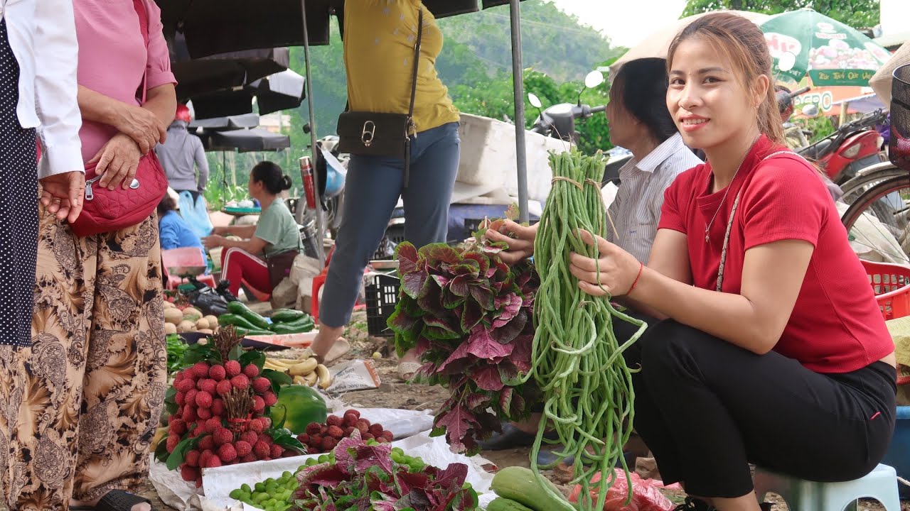 Harvesting, Melons, Gourds, Cowpeas To Bring To The Market To Sell - farm life - triệu lily