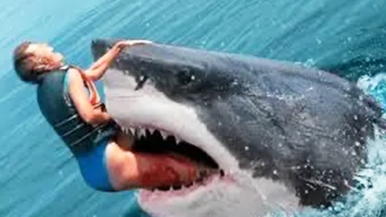 THE UNLUCKIEST Surfing Moments Caught On Camera!