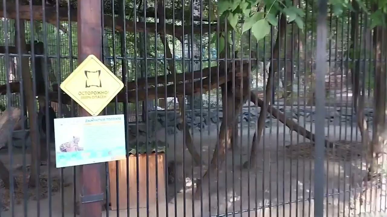 Ответы на вопросы: выпуск 148