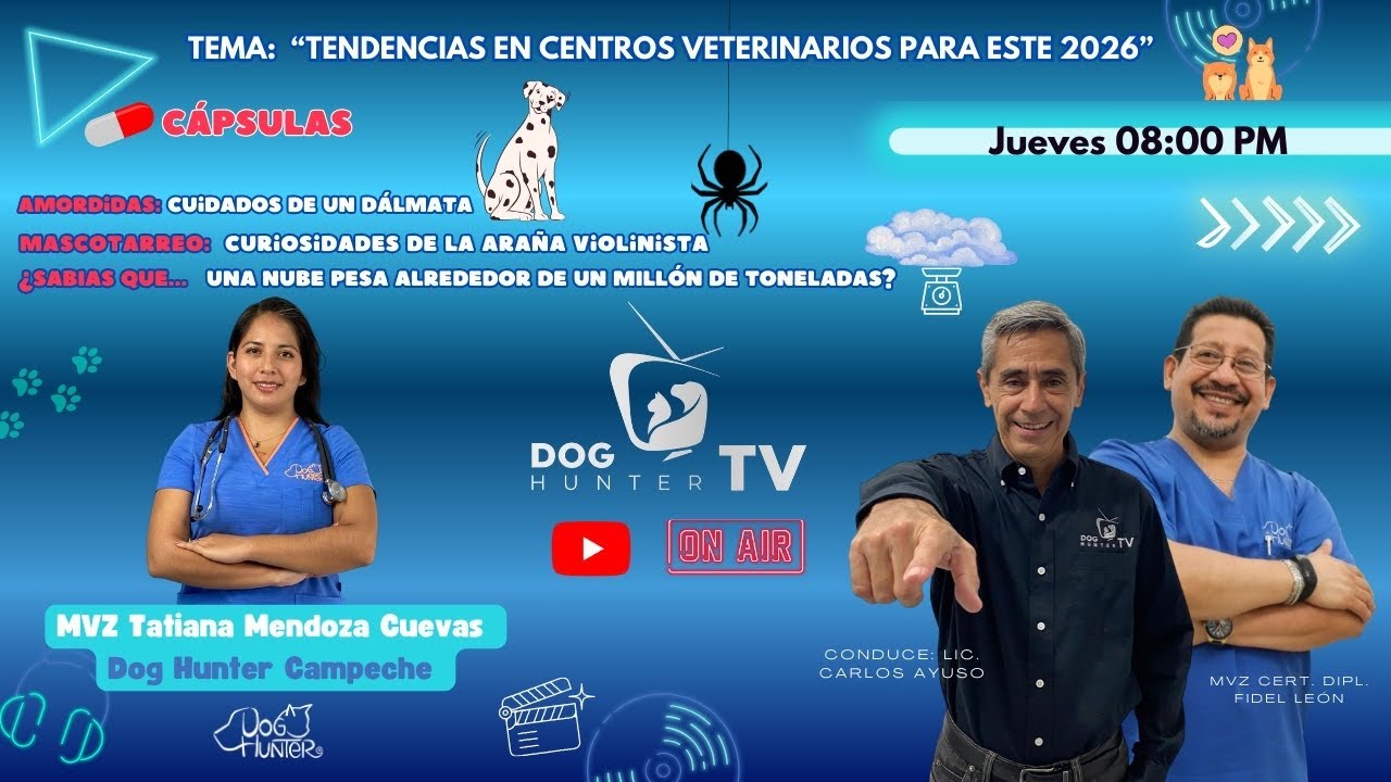 TENDENCIAS EN CENTROS VETERINARIOS PARA ESTE 2026