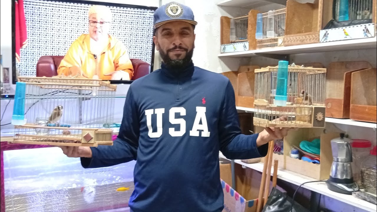 زيارة عند الأخ عبد الرحيم توليعة بطيور الحسون للبيع الهاتف 0698661160 تحياتي للجميع فرجة ممتعة ❤️