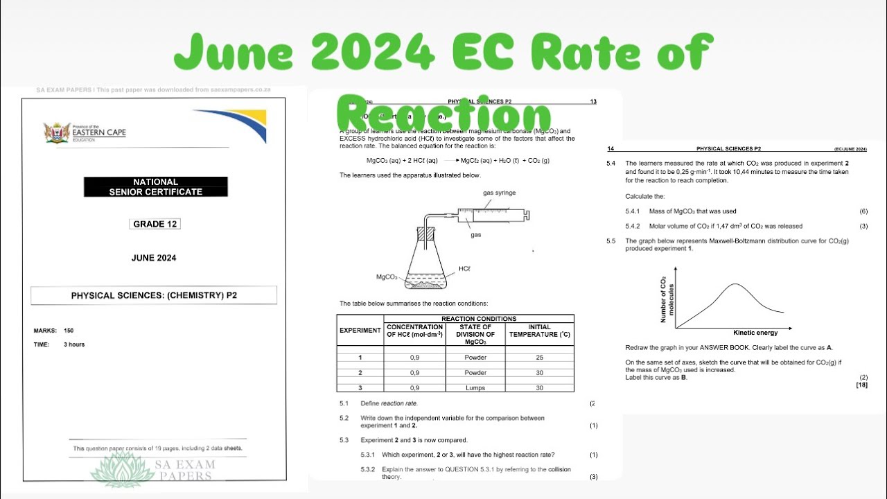 Grade 12 Rates of Reactions| Eastern Cape June 2024 Chemistry Exam Paper 2