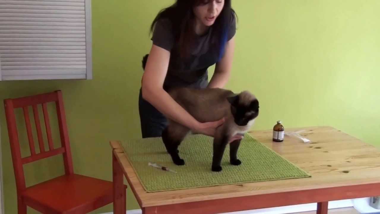 Administering Subcutaneous Injections