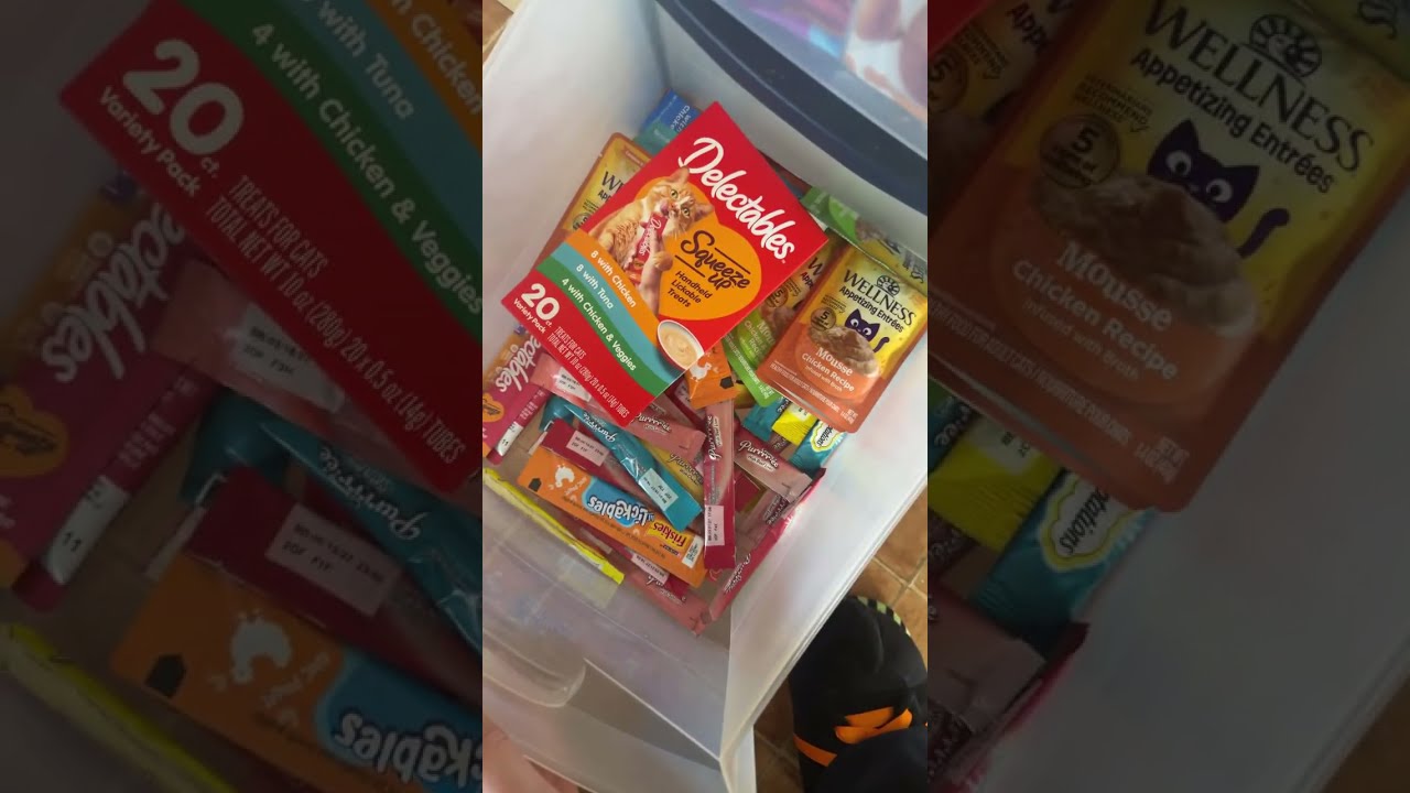 Cat food in different countries #catslive #catfoods ￼