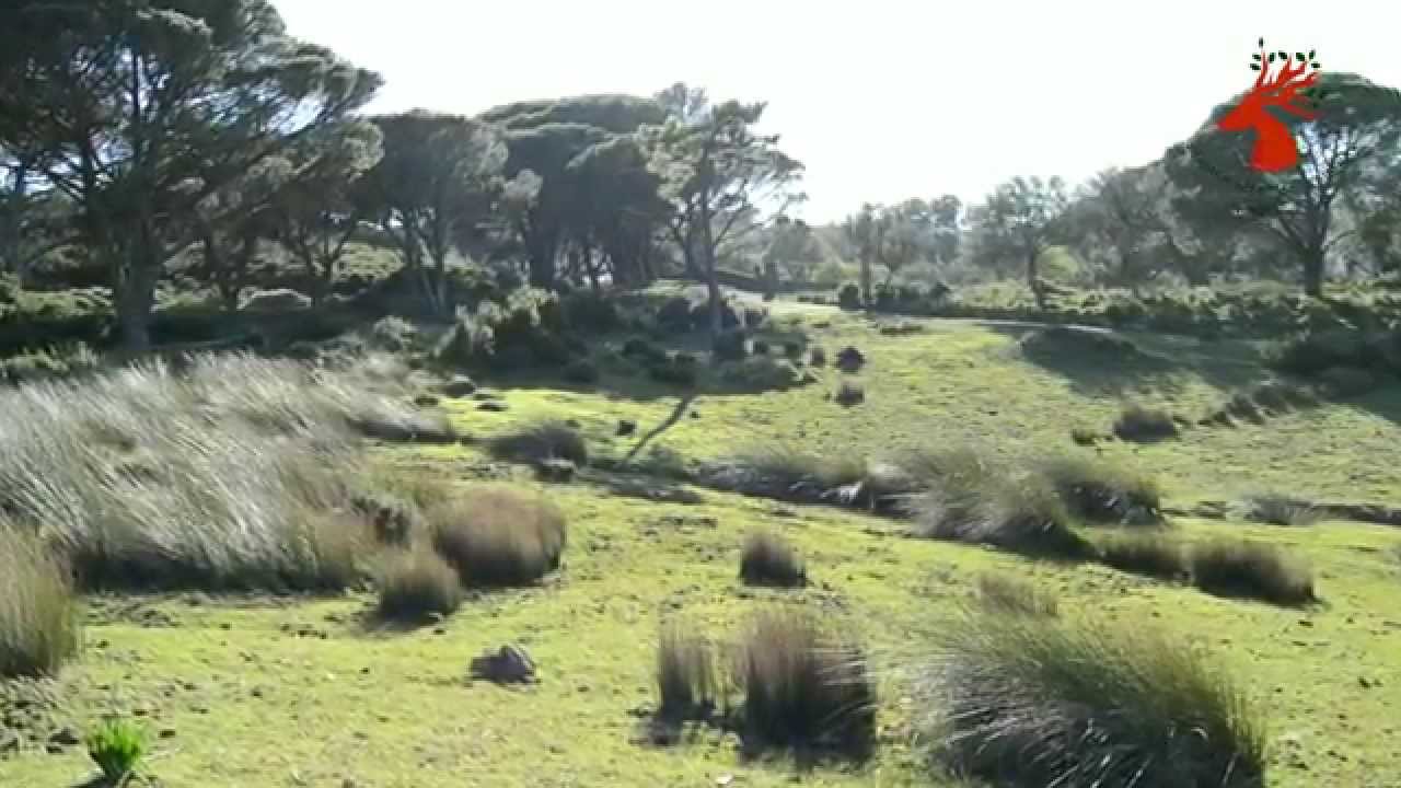 Tapada Nacional de Mafra - Vídeo Promocional