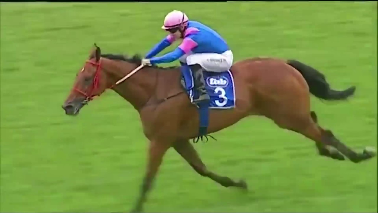 Captain Al - Breeding To Win (Tellytrack) March 2017