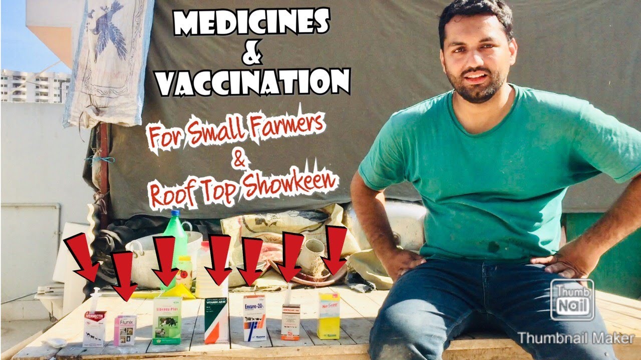 MEDICINES AND VACCINATION FOR SMALL GOAT FARMS & ROOF TOP SETUPS | BY NASIR BHAI