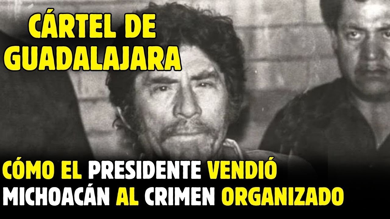 &ldquo;Don Neto&rdquo; del C&aacute;rtel de Guadalajara DETALLA: C&oacute;mo Presidente Vendi&oacute; Michoac&aacute;n al Crimen Organizado