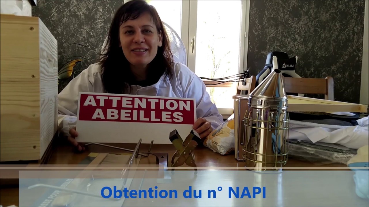 Installer 2 ruches dans son jardin : combien ça coûte?