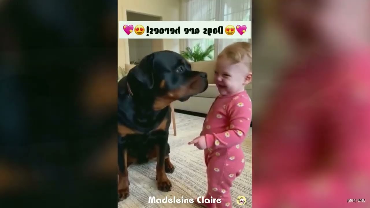 You Laugh You Lose 😼🐩 Dogs Protect Babies- Heartwarming Moments ⭐️