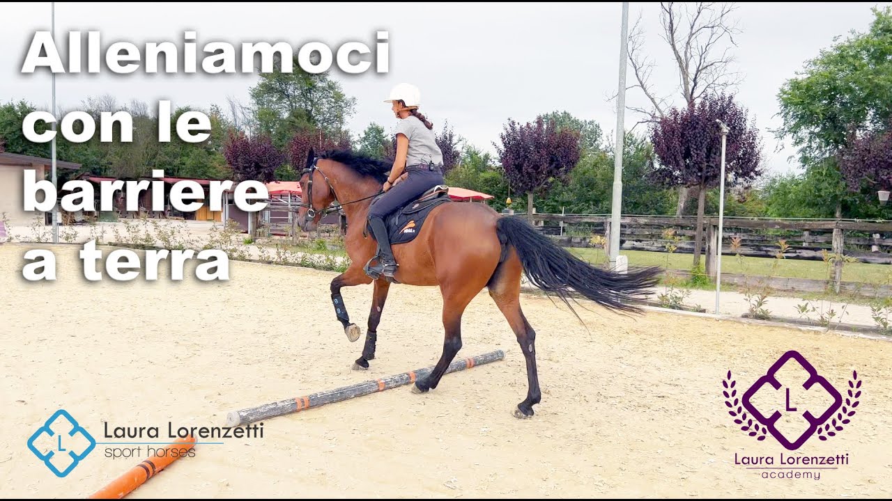 Alleniamoci con le barriere a terra - Equitazione con Laurettarider