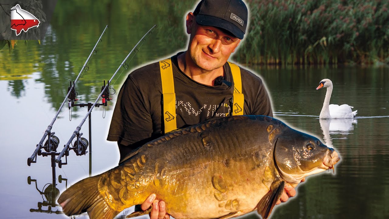 Sekrety Miejskiego Łowienia w wykonaniu Norberta AVID CARP POLSKA