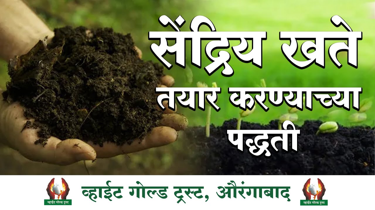 सेंद्रिय खते तयार करण्याच्या पद्धती।#शेती #शेतकरी #शेतिमाहीती #सोयाबीन #कापूस #तूर #उडीद #मूग #हरभरा