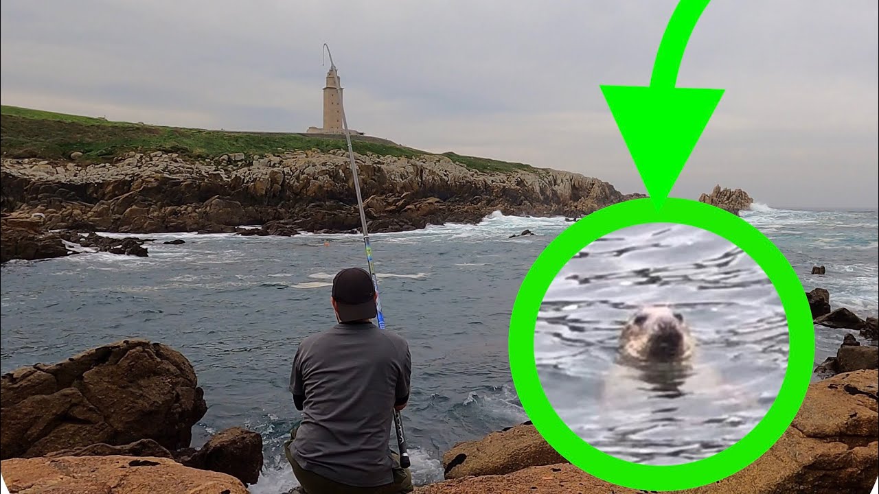 PESCANDO con un LEON MARINO