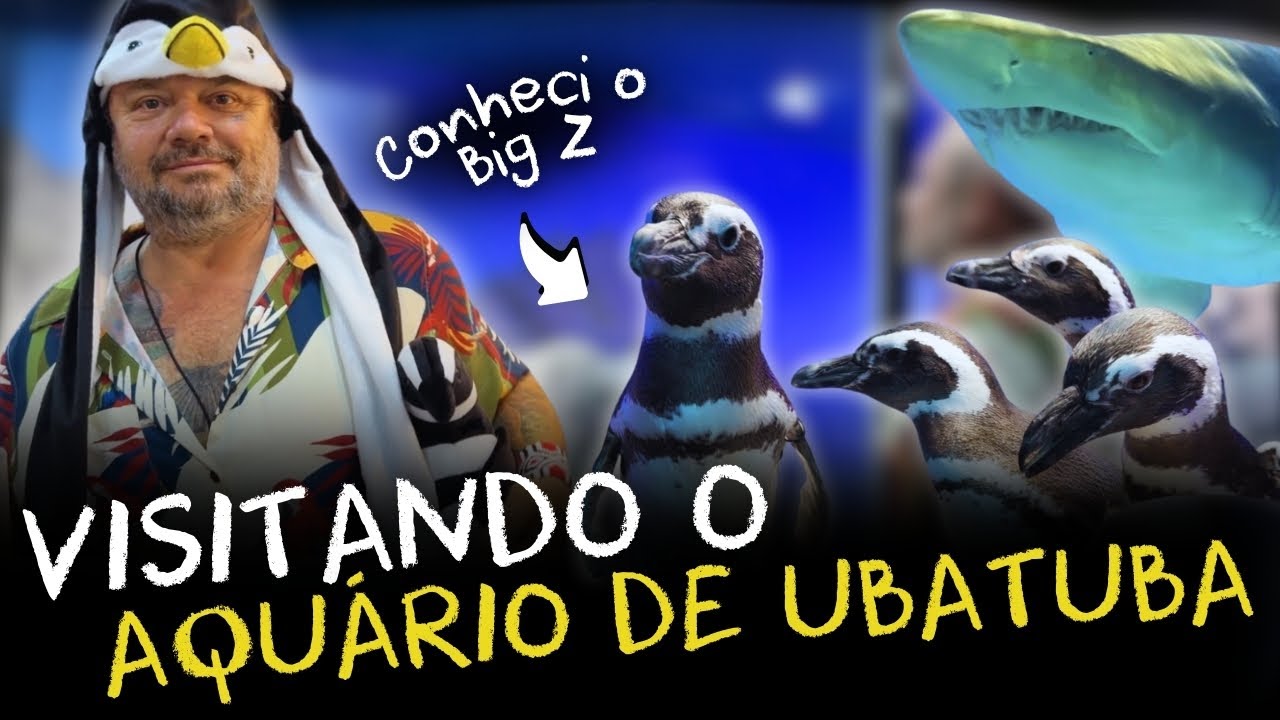 PINGUINS AMEAÇADOS: A AÇÃO DO AQUÁRIO DE UBATUBA NA PROTEÇÃO DA VIDA MARINHA!