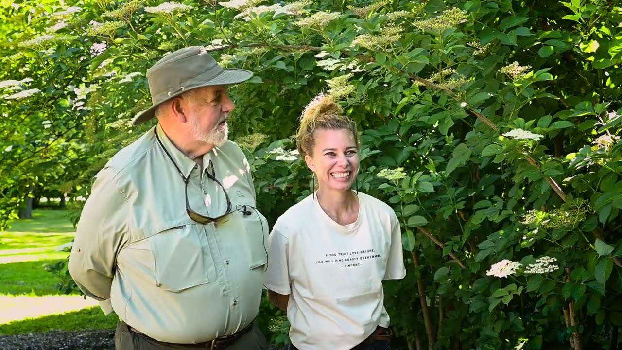 Elderberry Hedge Row and June farm updates