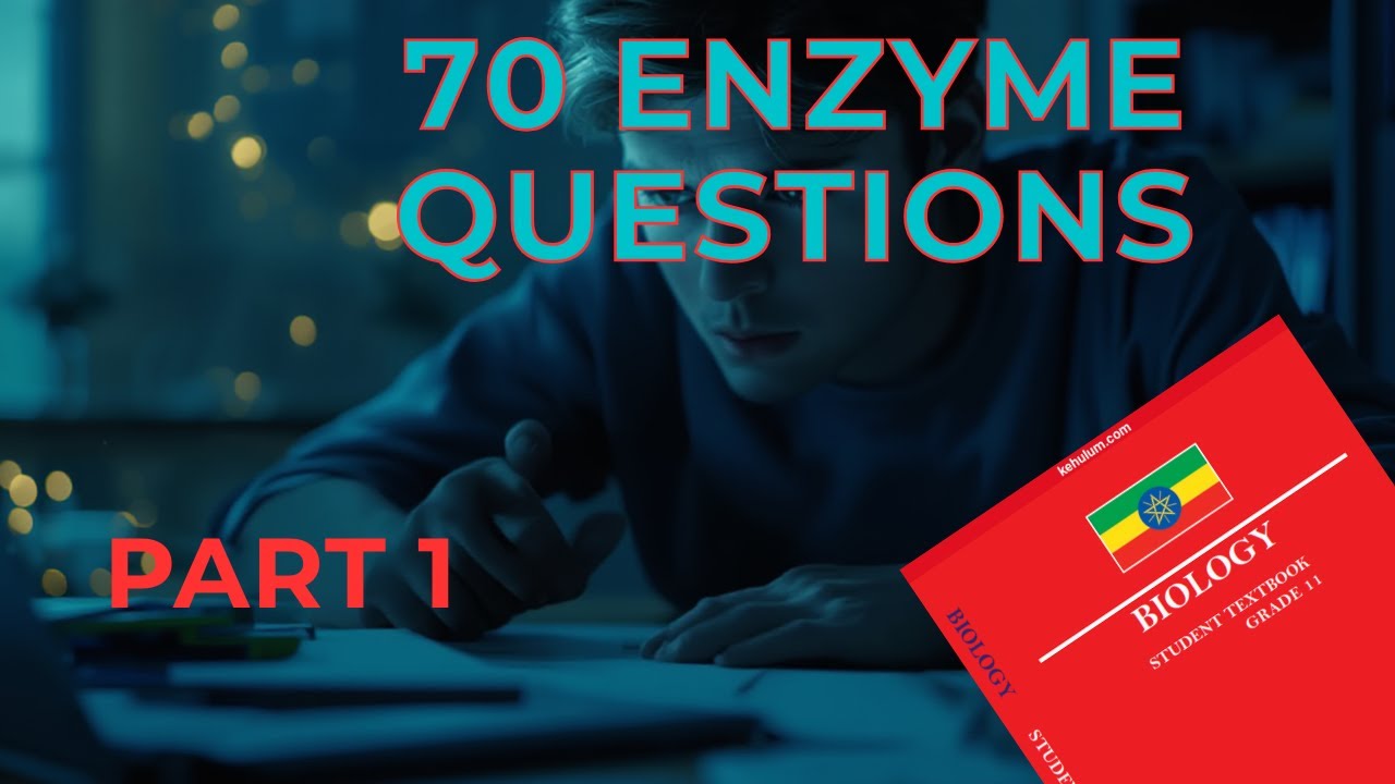 Enzymes – 70 Important Biology Questions & Answers | Grade 11–12 Exam Practice