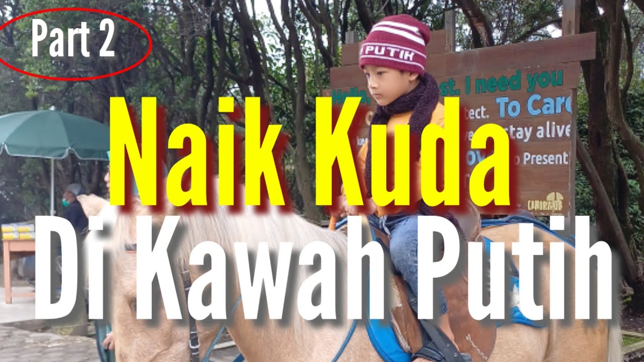 Wisata Kawah Putih Part 2 ! #ytshorts #shorts #shortsvideo #foryou #food #vlog #fyp