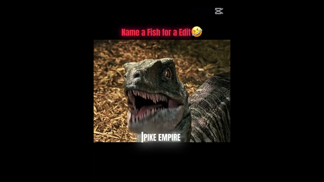 Raptor edit 