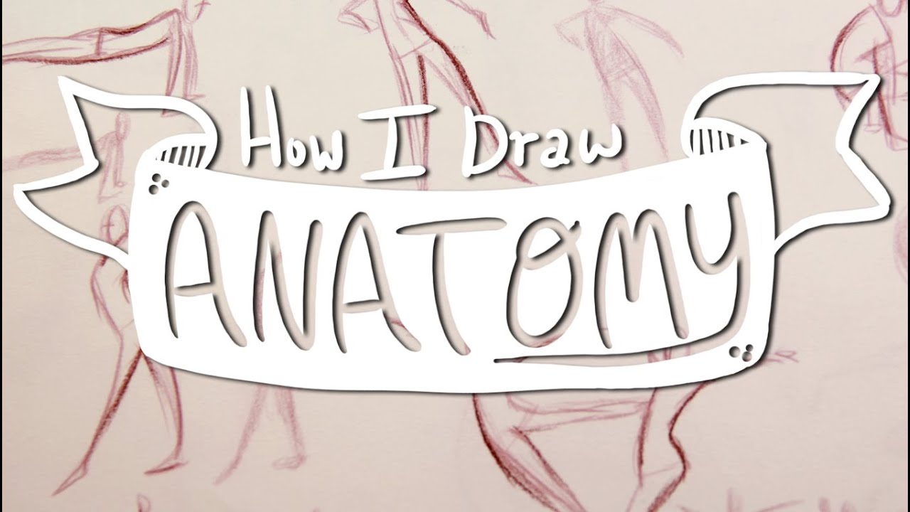 How I Draw ANATOMY #2: Line of Action