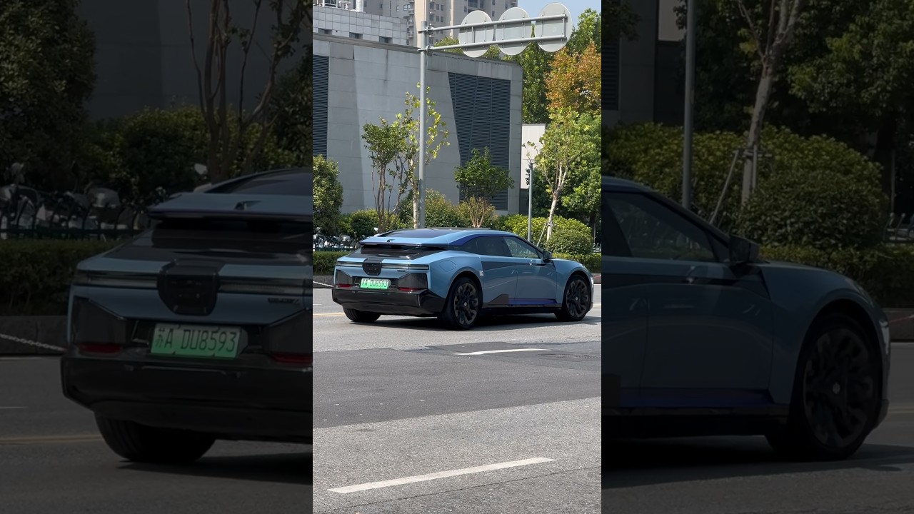 What kind of EV is that? 