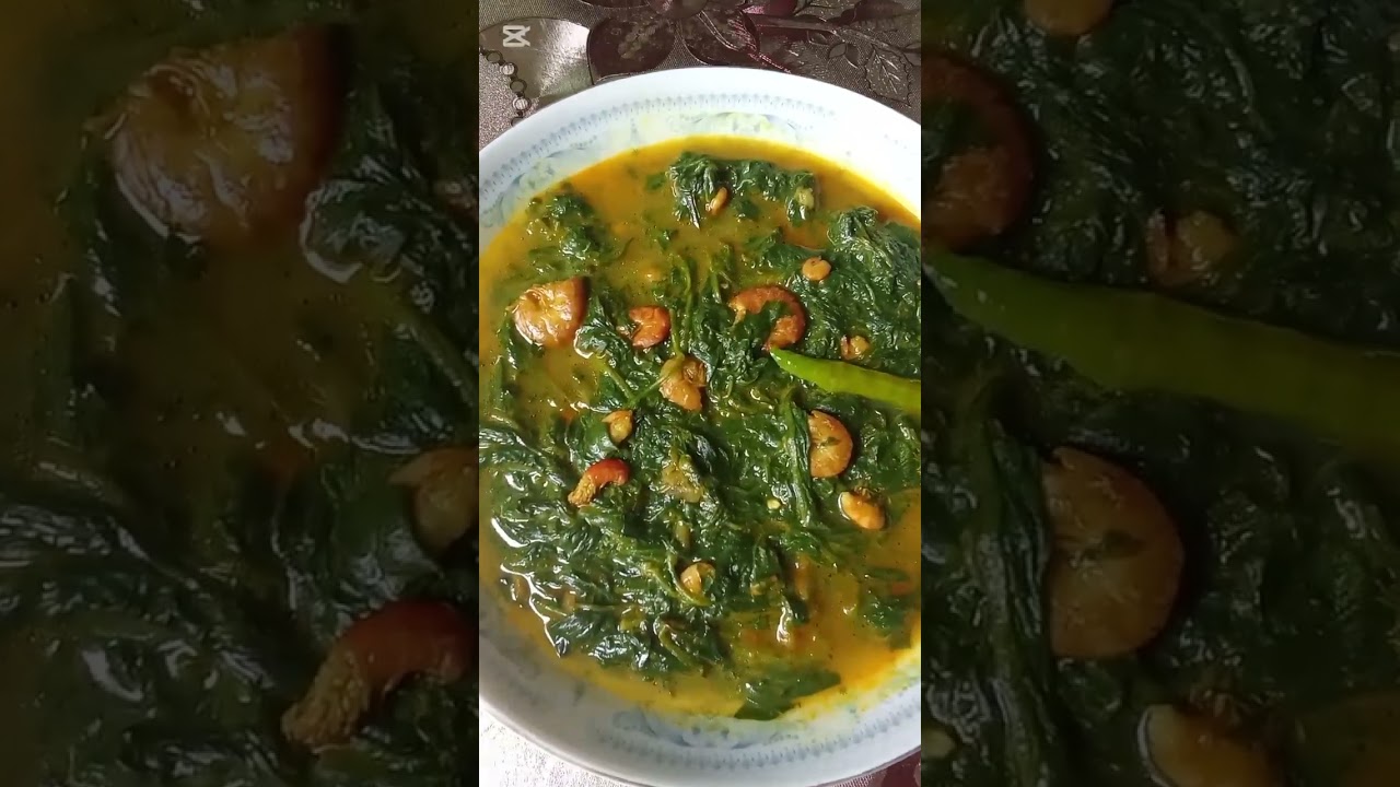 মানুষ হয়ে কিভাবে পারে 