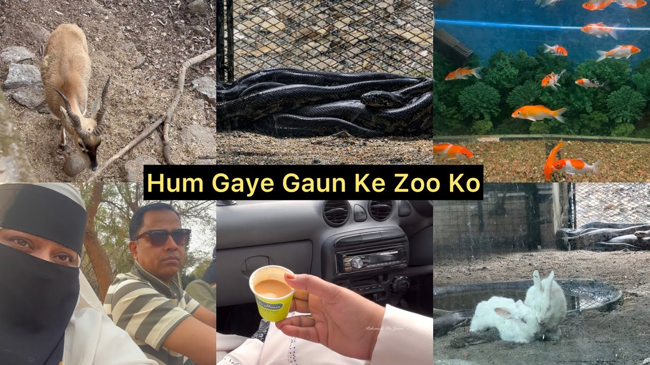 Mahbubnagar ka zoo park full tour || full enjoyment #vlog#zoo