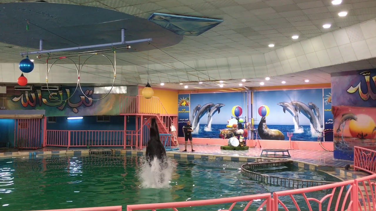 Dolphin Village Dammam, Saudi Arabia | Indian in Saudi Arabia