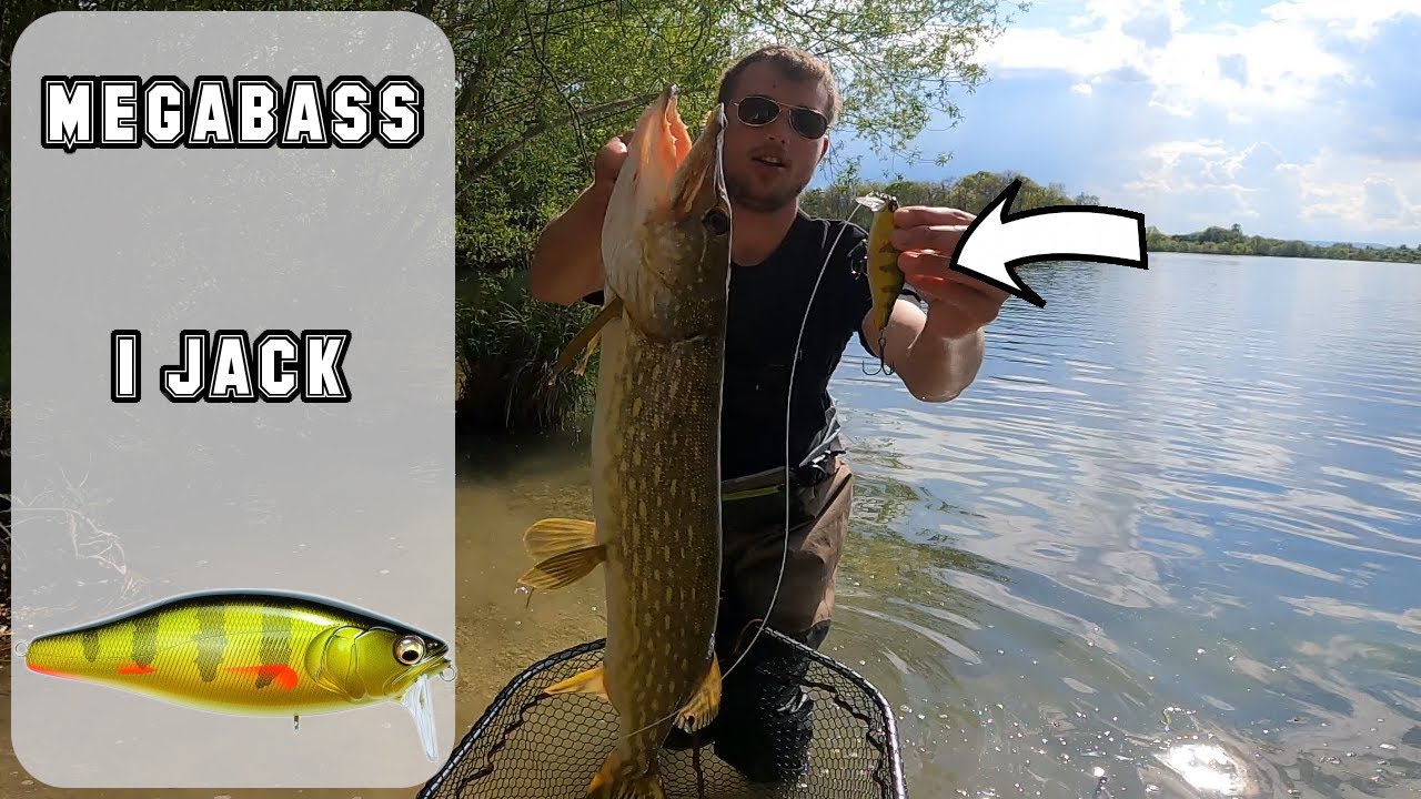 Le I JACK de  MEGABASS un leurre unique !!!