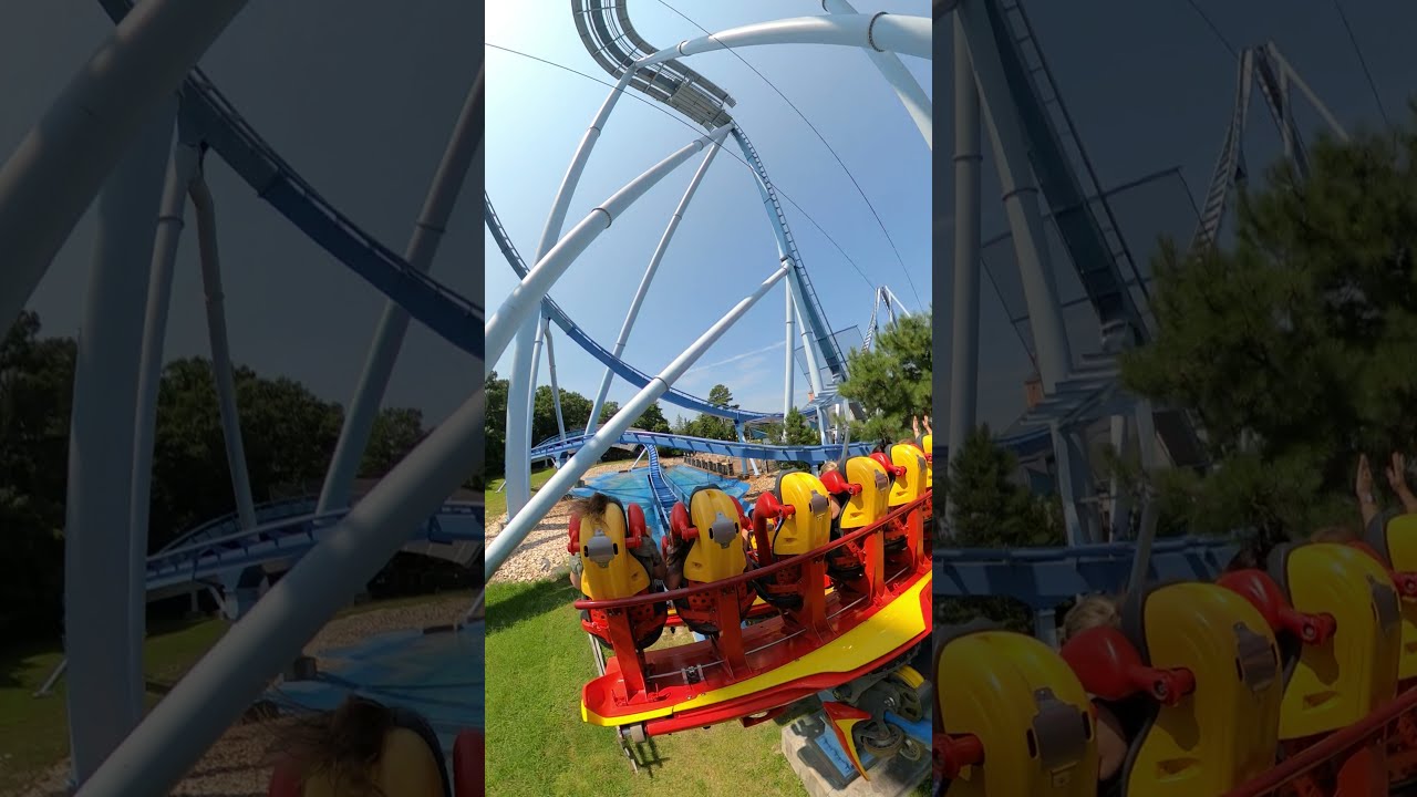 CRAZY 205ft Straight Down Roller Coaster #shorts