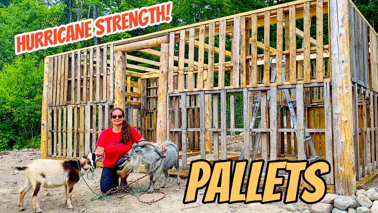 DIY Pallet Barn/Shed Build In 10 minutes Timelapse