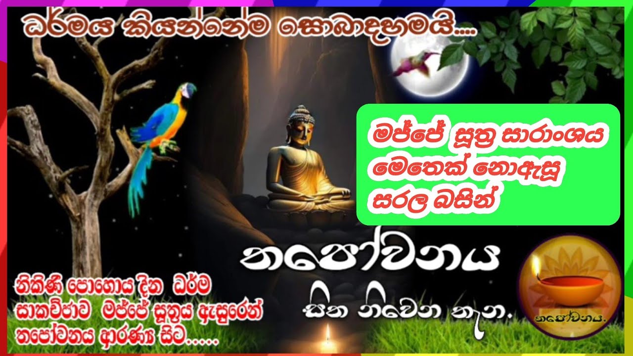 නිකිණි පොහොය දින ධර්ම සාකච්ඡාව මජ්ජේ සූත්‍රය ඇසුරෙන් තපෝවනය ආරණ්‍යය සිට#Thapowanaya සිත නිවෙන තැන 🏵