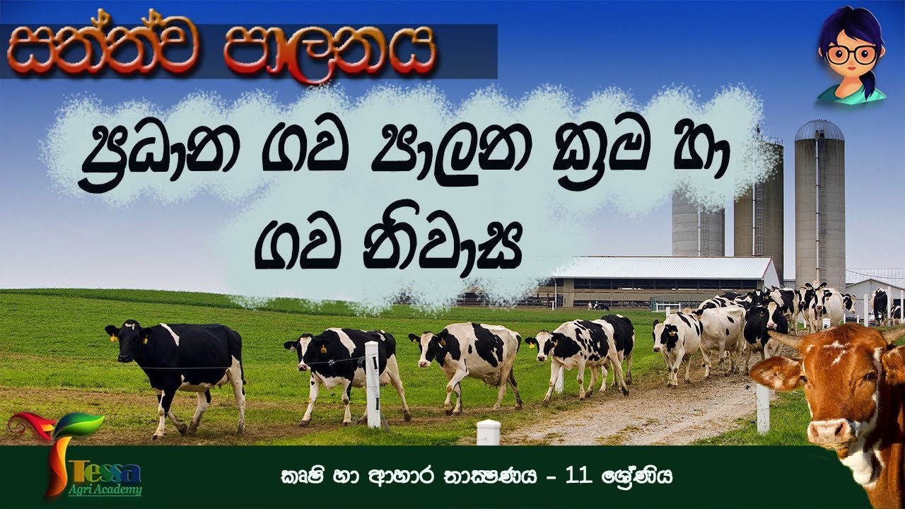 සත්ත්ව පාලනය | ගව පාලන ක්‍රම හා ගව නිවාස | කෘෂි හා ආහාර තාක්ෂණය | 11 ශ්‍රේණිය | 8 පාඩම | Episode 4