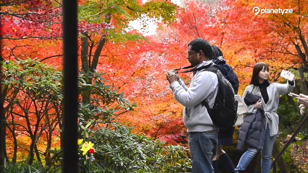 Hasedera Temple, Kamakura | One Minute Japan Travel Guide