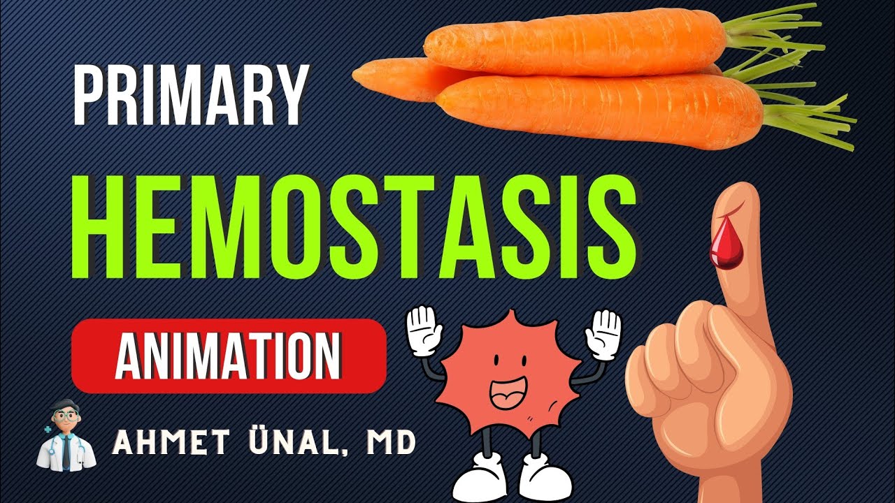 🥧 🥕 WHILE I COOK | Platelet Plug | Primary Hemostasis | Basic Hematologic Physiology Animation