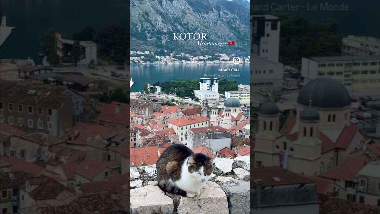 Winter trip to Kotor Montenegro 🇲🇪 #winter #2024