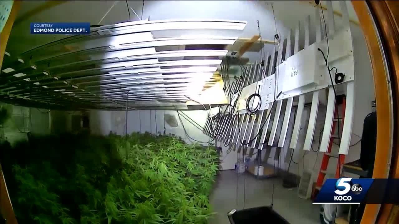Arrest warrant issued for man accused of setting up illegal marijuana grow operations in OKC metro