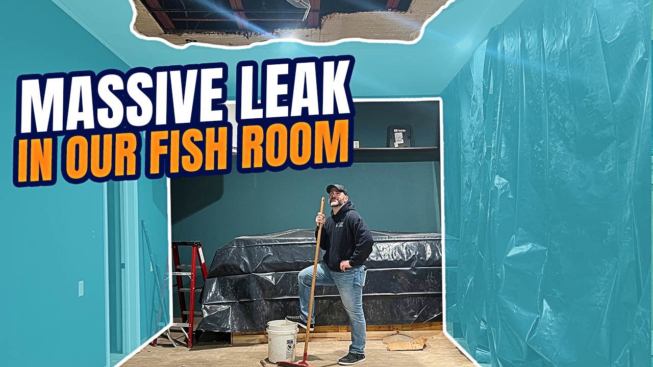 Ceiling Collapsed in the Fish Room [DISASTER]