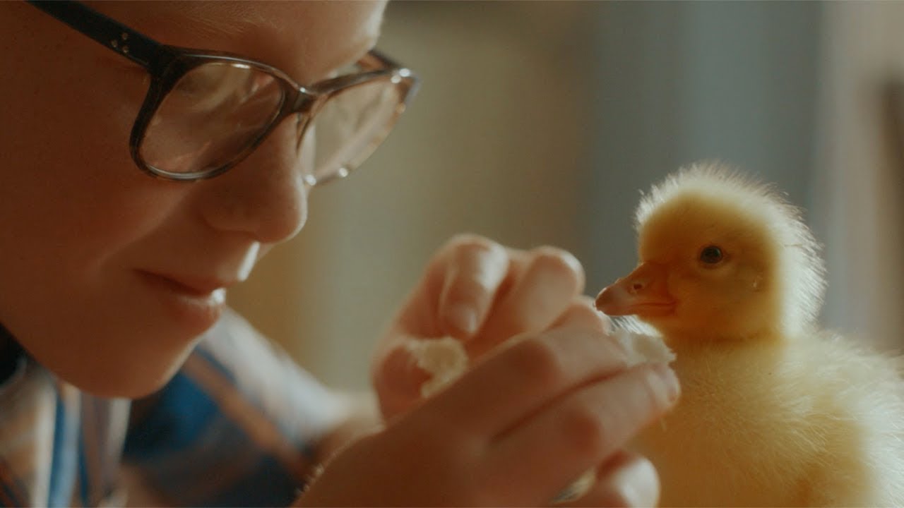 Gaia // Là où s'arrête l'amour pour les animaux, le nôtre commence (long)