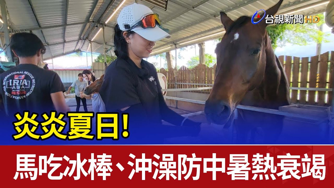 炎炎夏日！ 馬吃冰棒、沖澡防中暑熱衰竭
