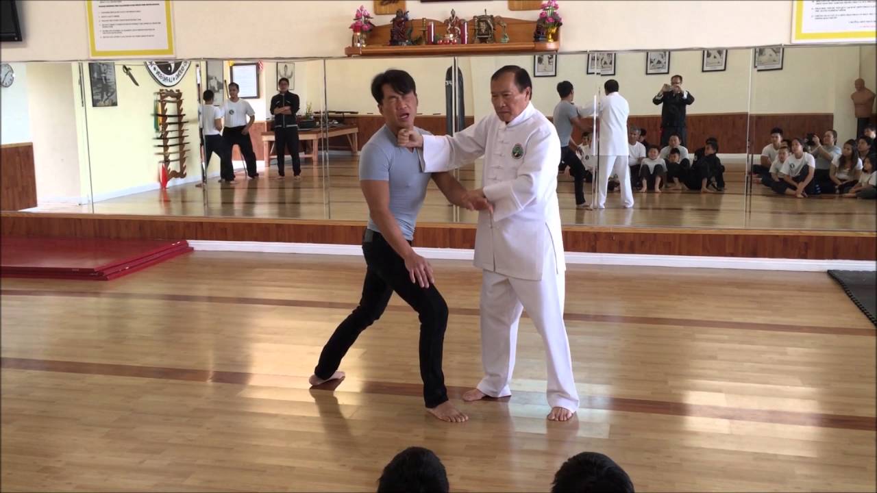 Ly hong Thai - Hong Gia Viet Nam - Năng Lực