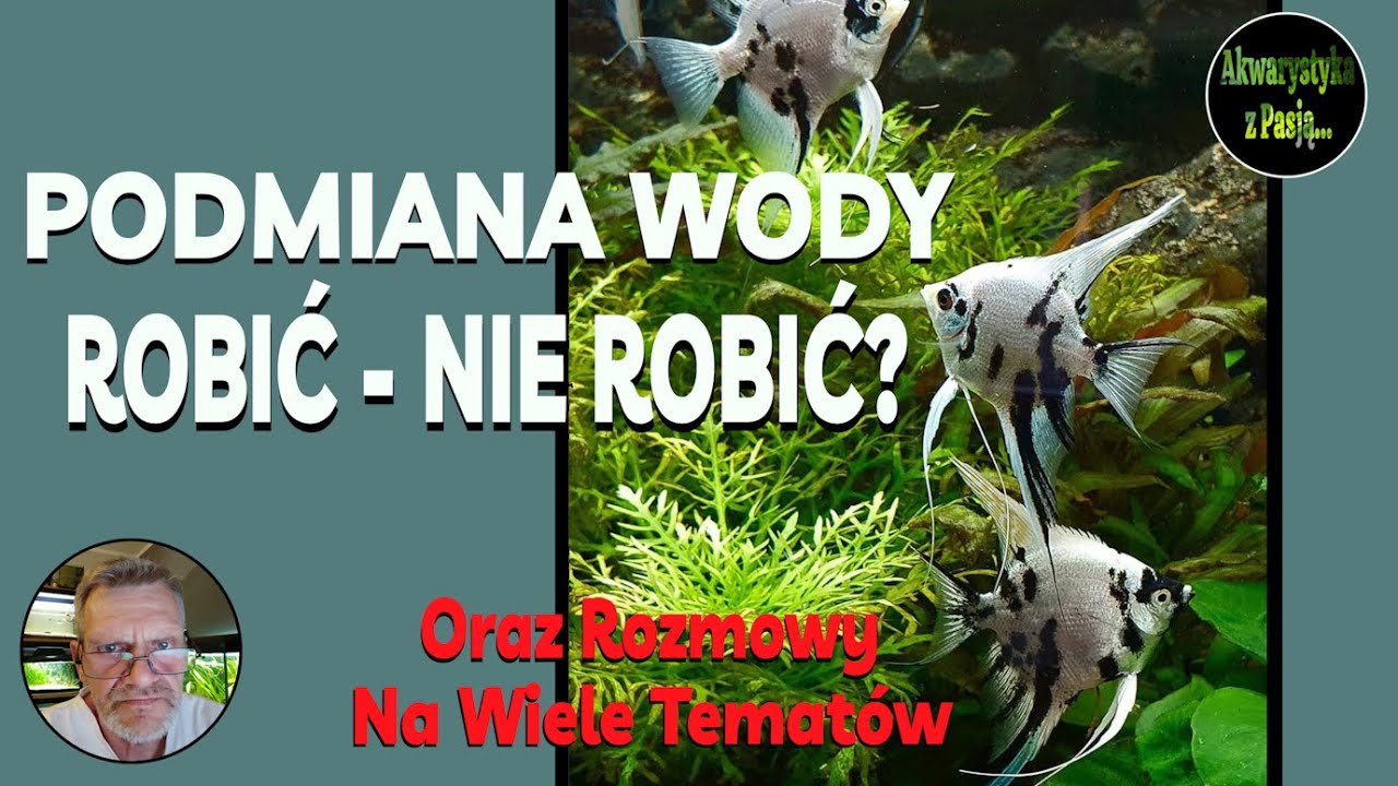 Podmiana Wody? Robić Podmiany - Czy Nie Robić?? - Klub Miłośnik&oacute;w Akwarystyki / Akwarystyka z Pasją.