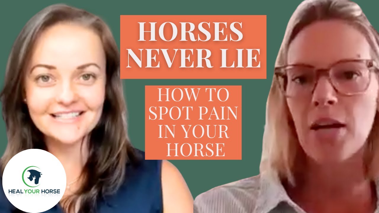 Pain in Horses: Nika Vorster: HYH Ansley Bevan
