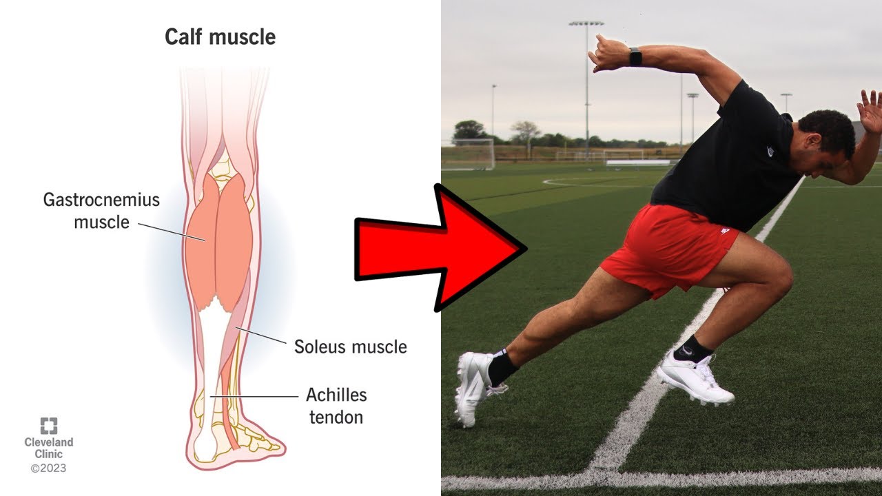 How To Train Calves For Speed (Full Guide)